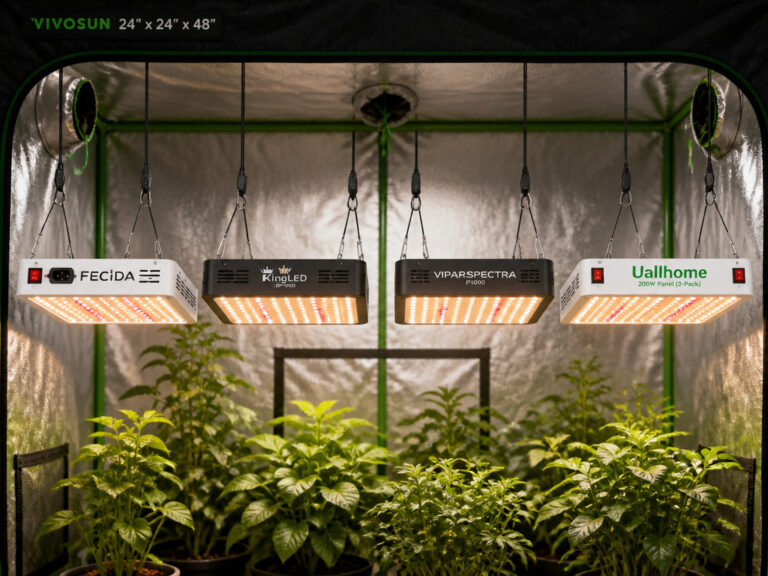 8 Best Lights for 24-Hour Grow Tent (2026)