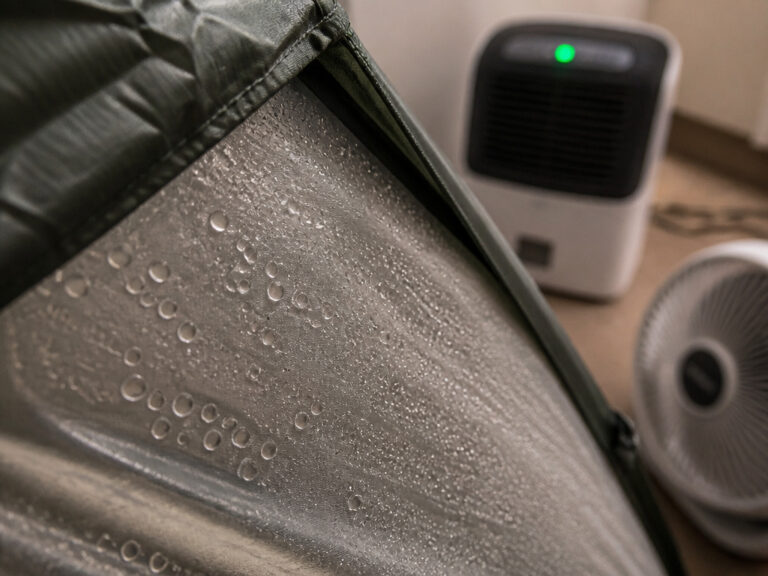 How to Dry a Tent Properly to Prevent Mildew and Damage