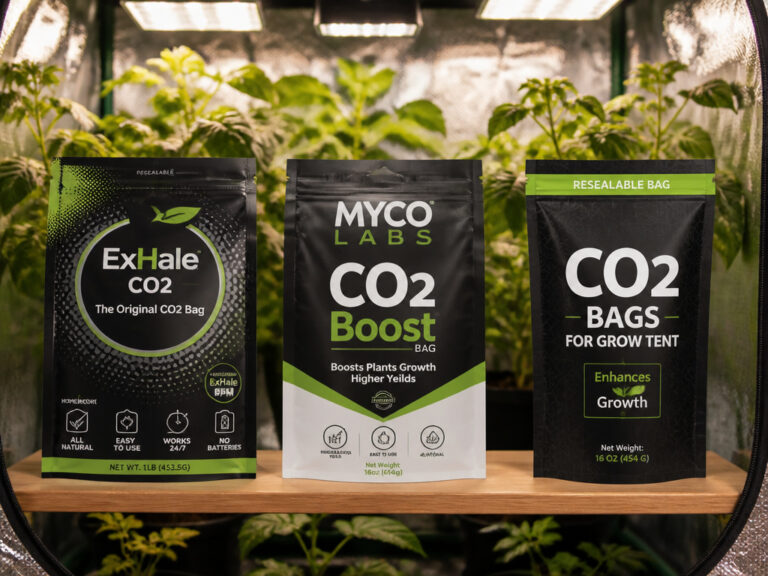 5 Best CO2 for Grow Tents 2026