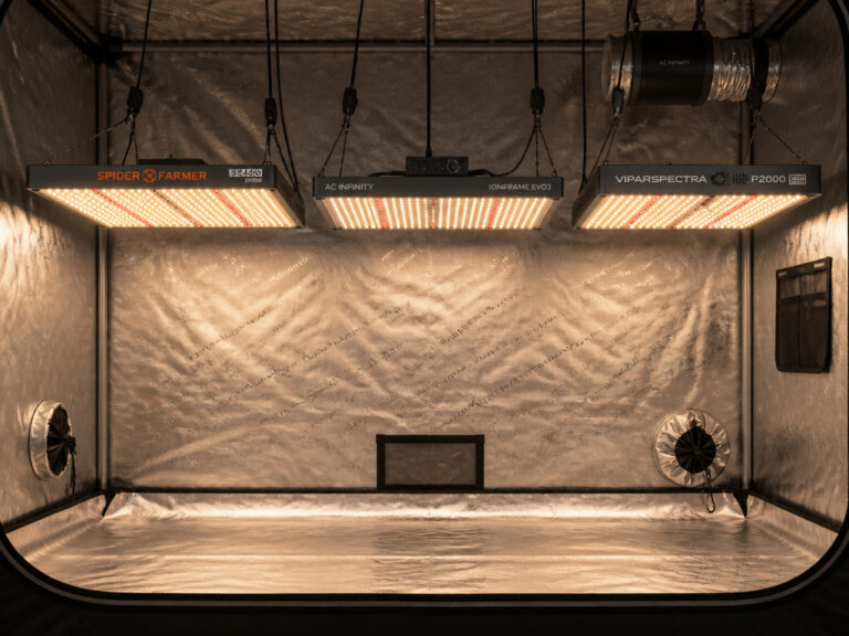 8 Best Grow Lights for 2×4 Tent 2026